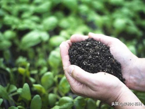 17种氨基酸肥料对作物生长的作用